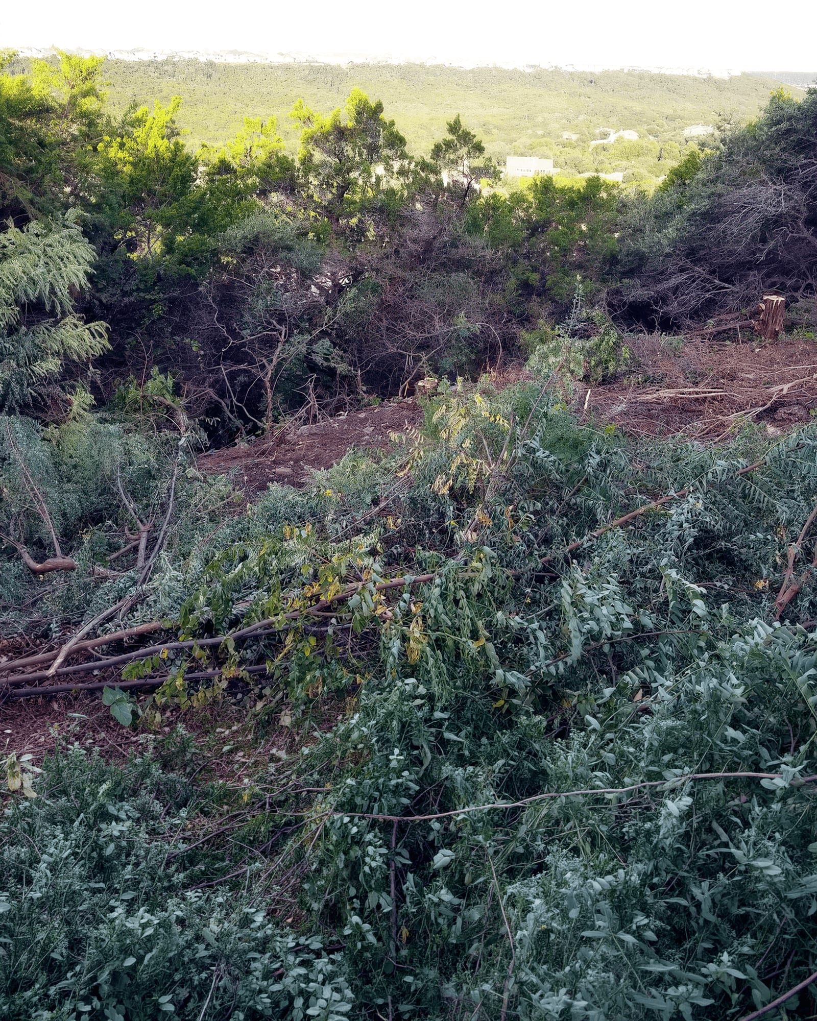 The wooded lot in Leander before construction