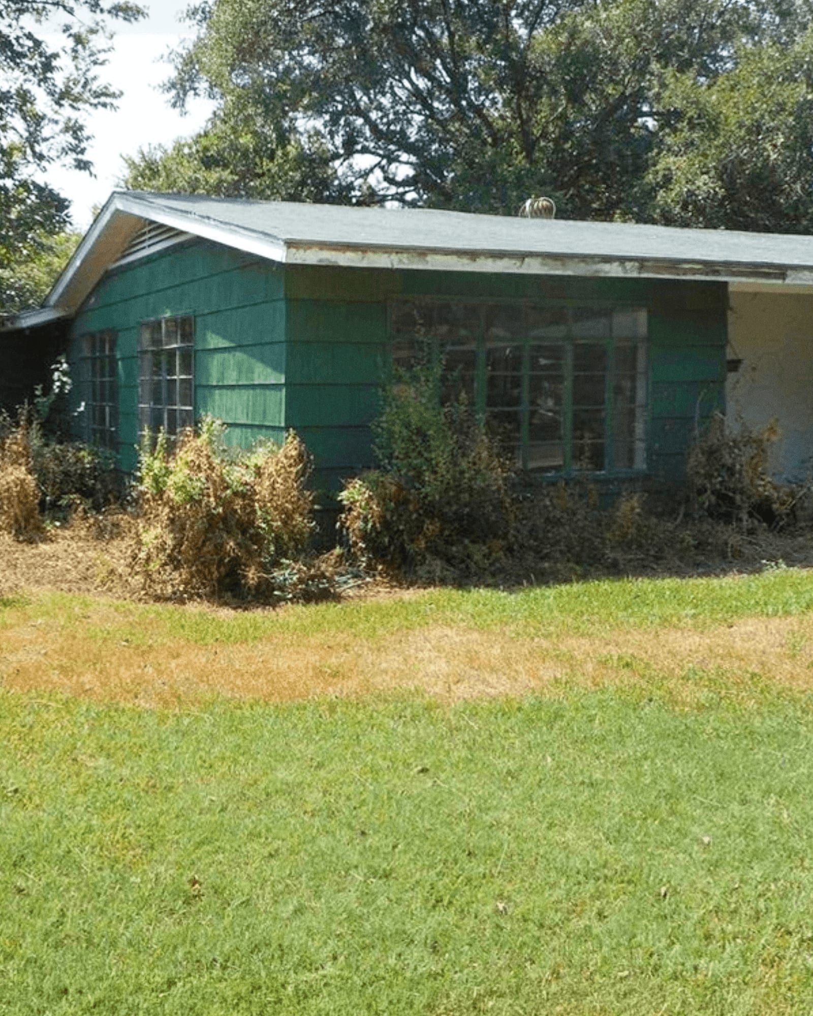 The original house exterior before the whole-home remodel: worn green siding and overgrown beds